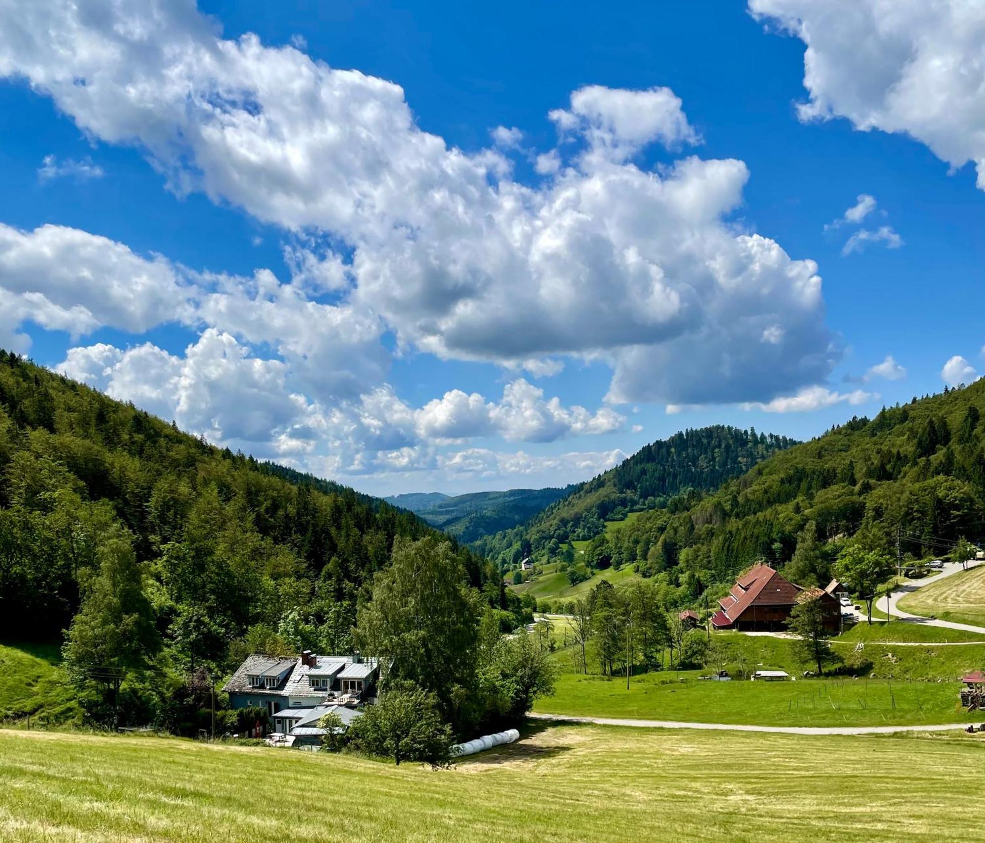 Апартаменти Casa Alma Neuenweg Екстер'єр фото